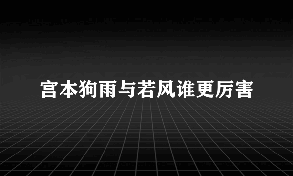 宫本狗雨与若风谁更厉害