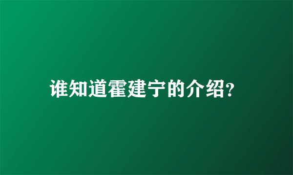 谁知道霍建宁的介绍？