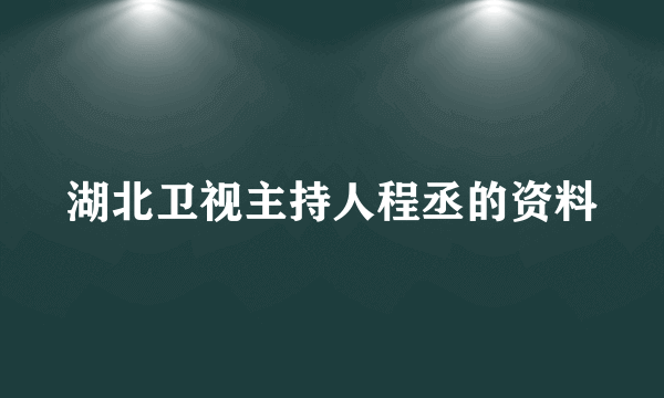 湖北卫视主持人程丞的资料