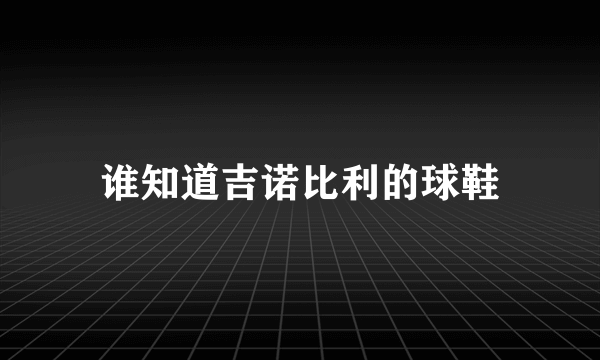 谁知道吉诺比利的球鞋