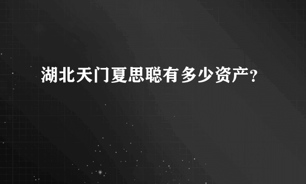 湖北天门夏思聪有多少资产？