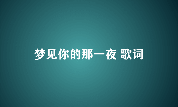 梦见你的那一夜 歌词