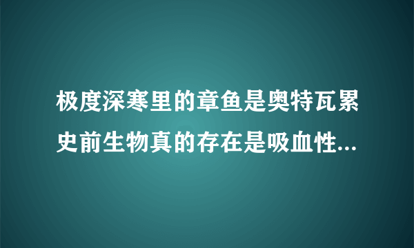 极度深寒里的章鱼是奥特瓦累史前生物真的存在是吸血性动物现在可能已经绝迹 但是如果深海潜泳遇到该怎么办