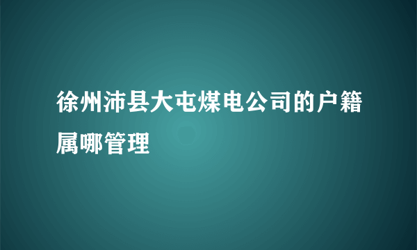 徐州沛县大屯煤电公司的户籍属哪管理