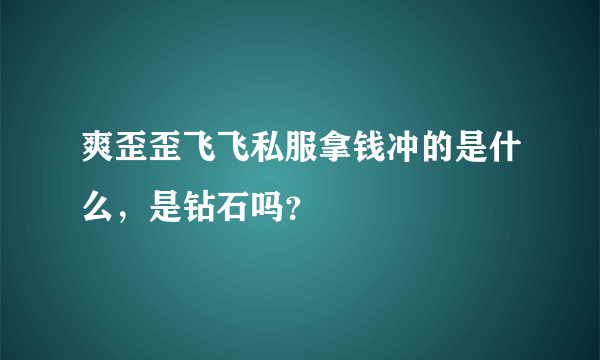 爽歪歪飞飞私服拿钱冲的是什么，是钻石吗？