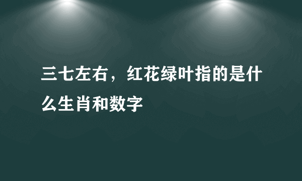 三七左右，红花绿叶指的是什么生肖和数字