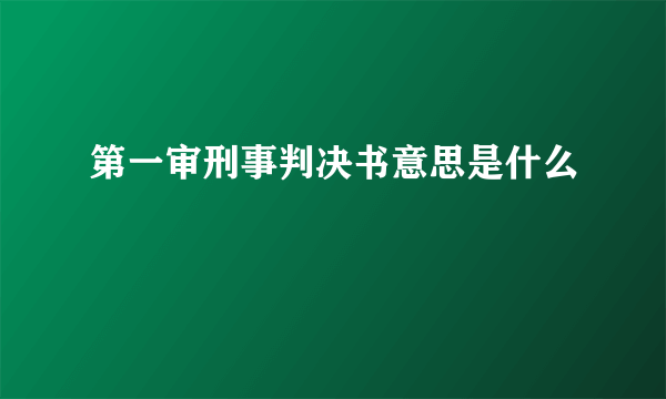 第一审刑事判决书意思是什么