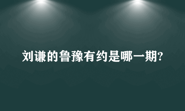 刘谦的鲁豫有约是哪一期?