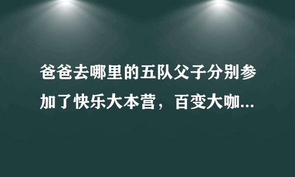 爸爸去哪里的五队父子分别参加了快乐大本营，百变大咖秀，天天向上，分别都是哪一期