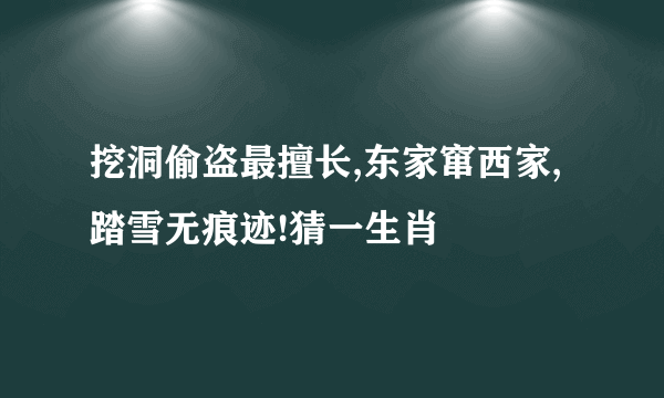 挖洞偷盗最擅长,东家窜西家,踏雪无痕迹!猜一生肖