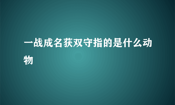 一战成名获双守指的是什么动物