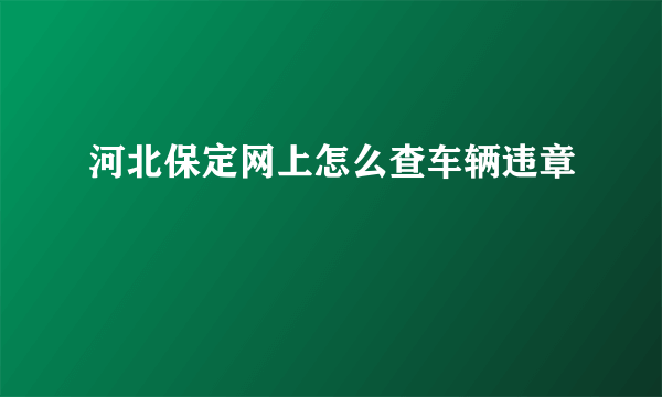 河北保定网上怎么查车辆违章