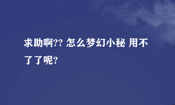 求助啊?? 怎么梦幻小秘 用不了了呢?