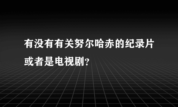 有没有有关努尔哈赤的纪录片或者是电视剧？