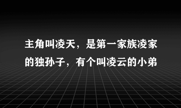 主角叫凌天，是第一家族凌家的独孙子，有个叫凌云的小弟