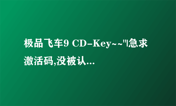 极品飞车9 CD-Key~~