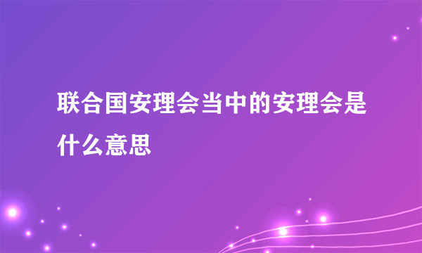 联合国安理会当中的安理会是什么意思