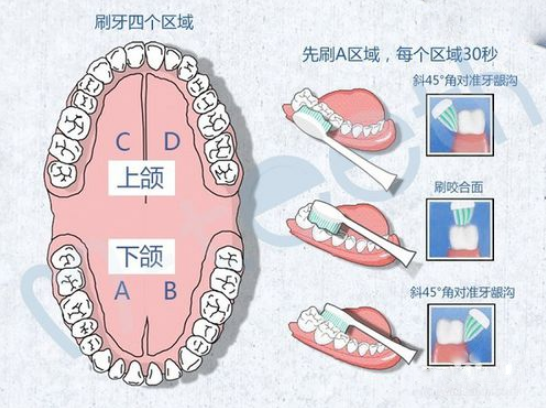 舒客电动牙刷如何使用？