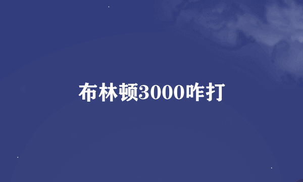 布林顿3000咋打