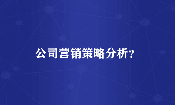 公司营销策略分析？