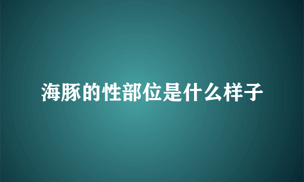 海豚的性部位是什么样子