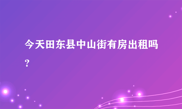 今天田东县中山街有房出租吗？