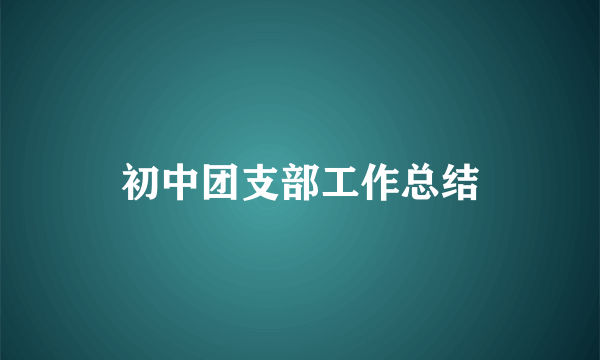 初中团支部工作总结