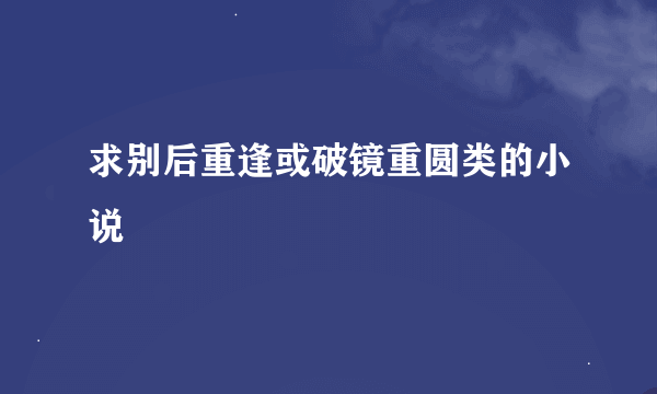 求别后重逢或破镜重圆类的小说