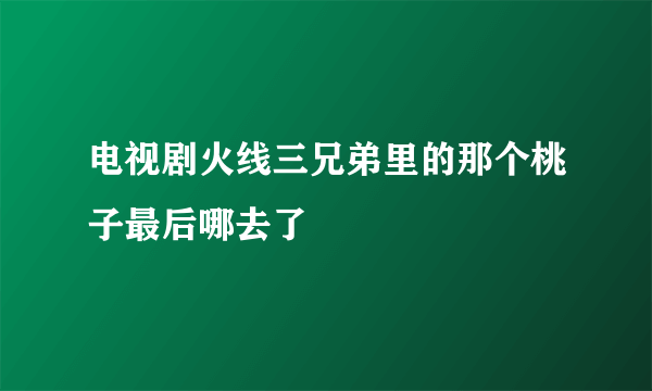 电视剧火线三兄弟里的那个桃子最后哪去了