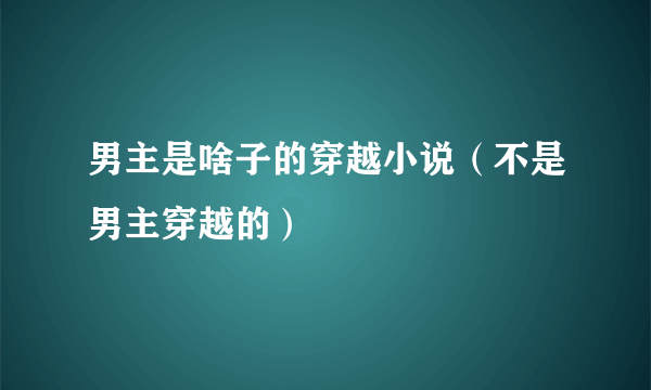 男主是啥子的穿越小说（不是男主穿越的）