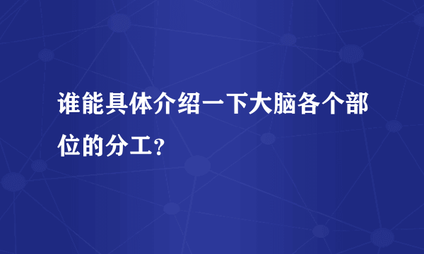 谁能具体介绍一下大脑各个部位的分工？