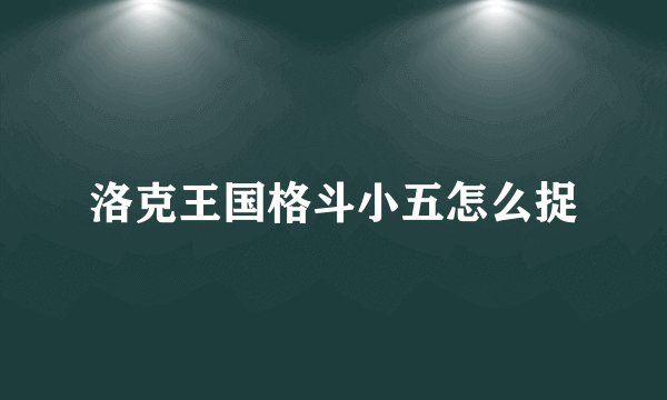 洛克王国格斗小五怎么捉