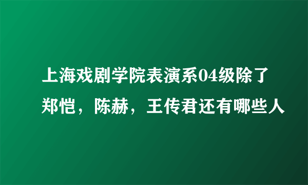 上海戏剧学院表演系04级除了郑恺，陈赫，王传君还有哪些人