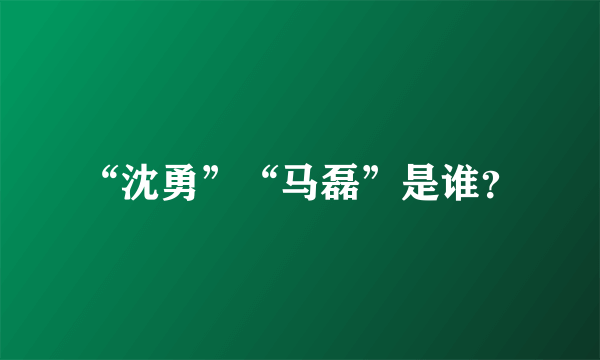 “沈勇”“马磊”是谁？