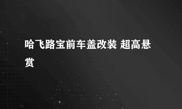 哈飞路宝前车盖改装 超高悬赏