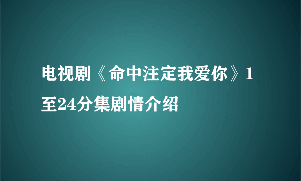 电视剧《命中注定我爱你》1至24分集剧情介绍