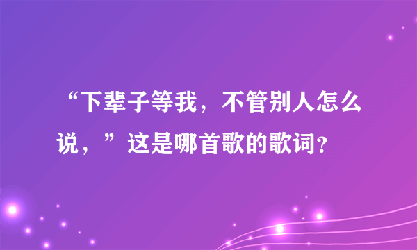 “下辈子等我，不管别人怎么说，”这是哪首歌的歌词？