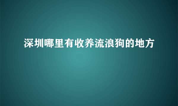 深圳哪里有收养流浪狗的地方