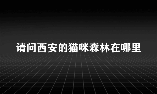 请问西安的猫咪森林在哪里