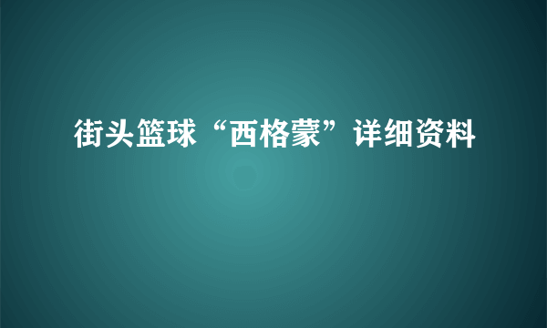 街头篮球“西格蒙”详细资料