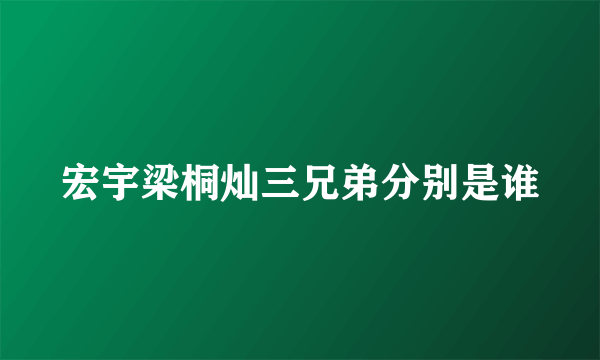 宏宇梁桐灿三兄弟分别是谁