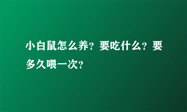 小白鼠怎么养？要吃什么？要多久喂一次？