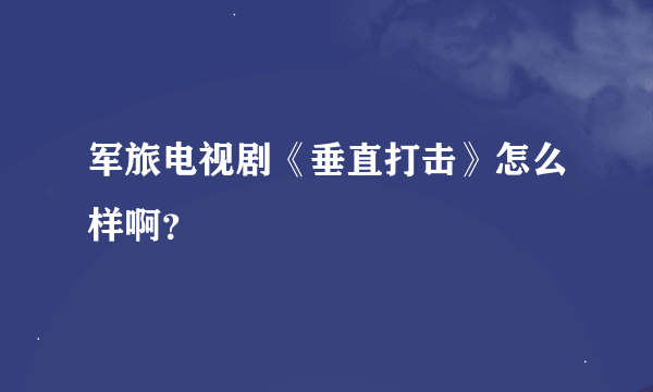 军旅电视剧《垂直打击》怎么样啊？