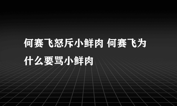 何赛飞怒斥小鲜肉 何赛飞为什么要骂小鲜肉