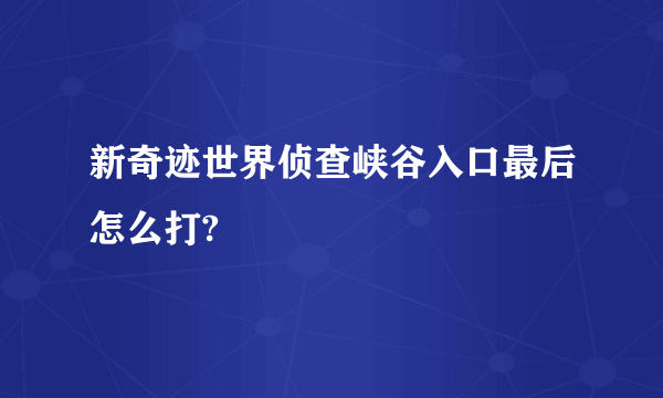 新奇迹世界侦查峡谷入口最后怎么打?