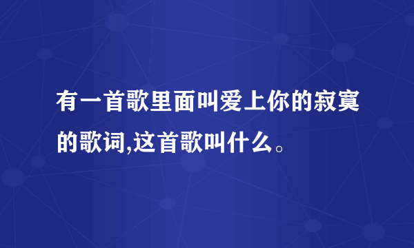 有一首歌里面叫爱上你的寂寞的歌词,这首歌叫什么。