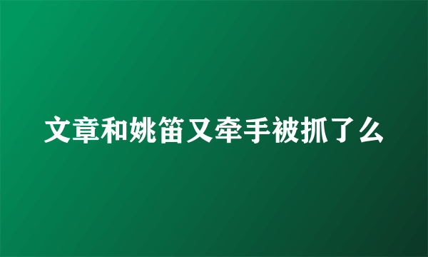 文章和姚笛又牵手被抓了么