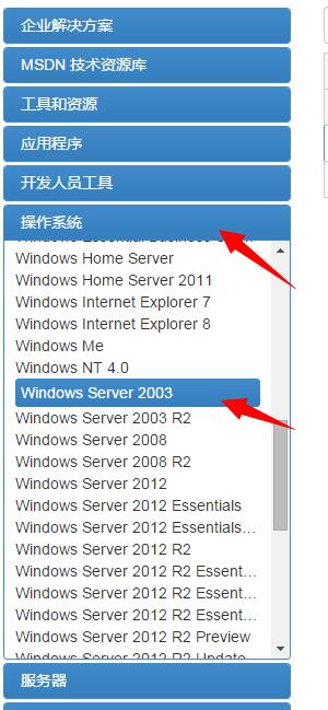 虚拟机Windows2003 iso镜像文件