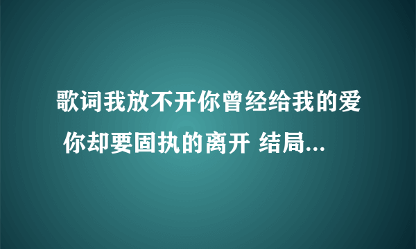 歌词我放不开你曾经给我的爱 你却要固执的离开 结局不过是一场意外