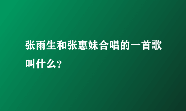 张雨生和张惠妹合唱的一首歌叫什么？